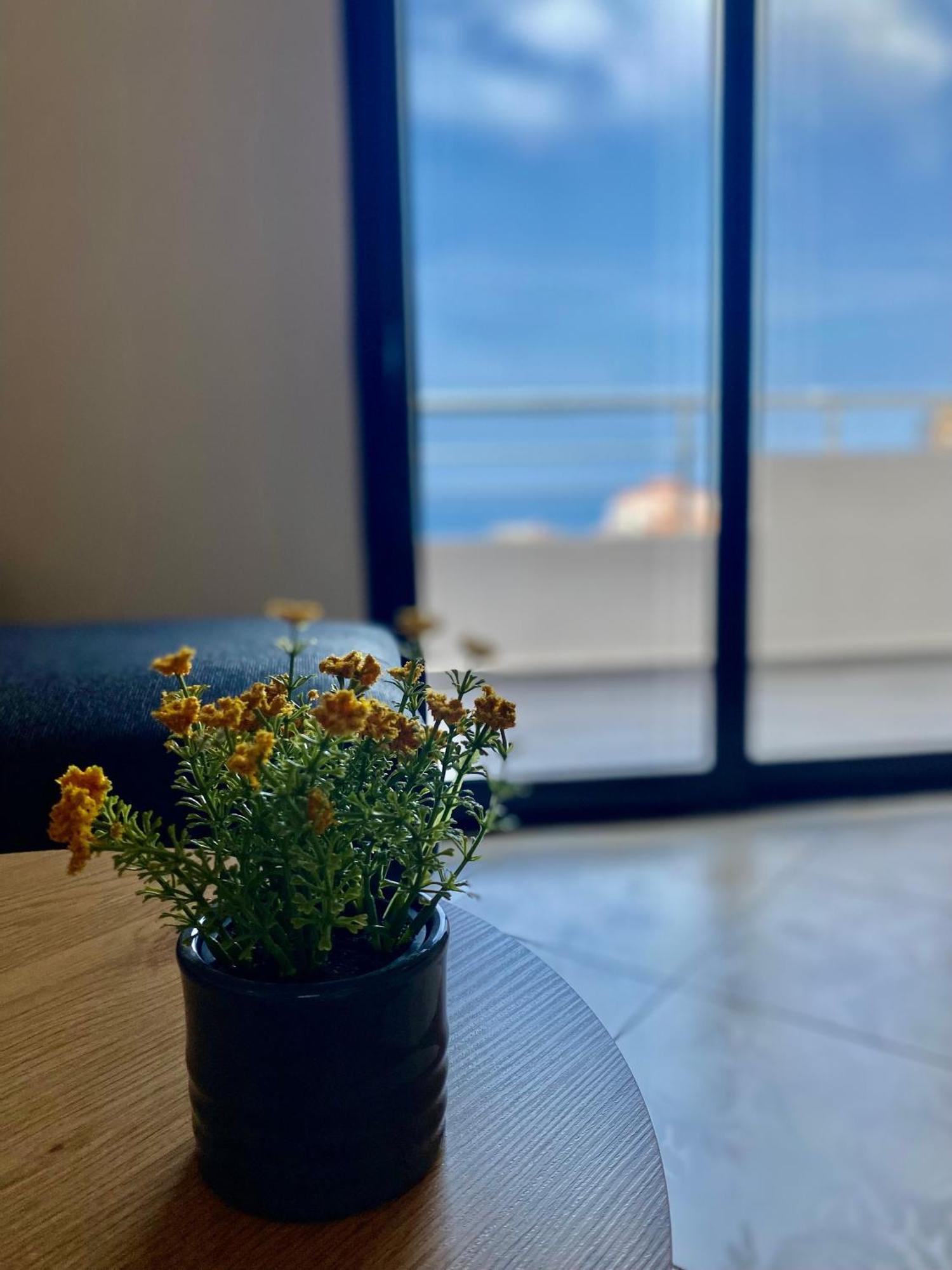 Fimi Apartments 울친 외부 사진